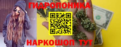 прущие грибы Кимры