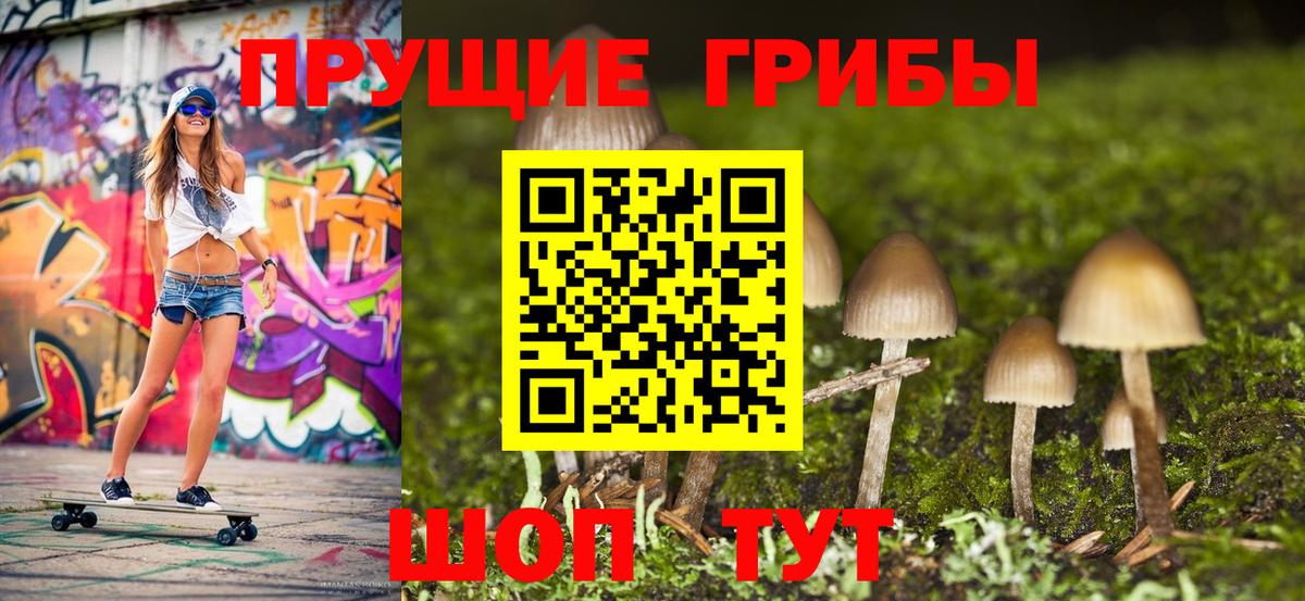 Псилоцибиновые грибы мухоморы  Галлюциногенные грибы GOLDEN TEACHER  Железноводск  Вход с VPN 